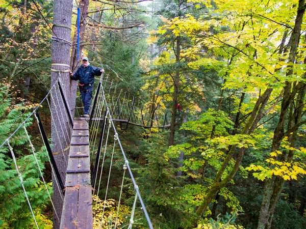 Walk in the clouds, la camminata tra e nuvole - Haliburton Forest